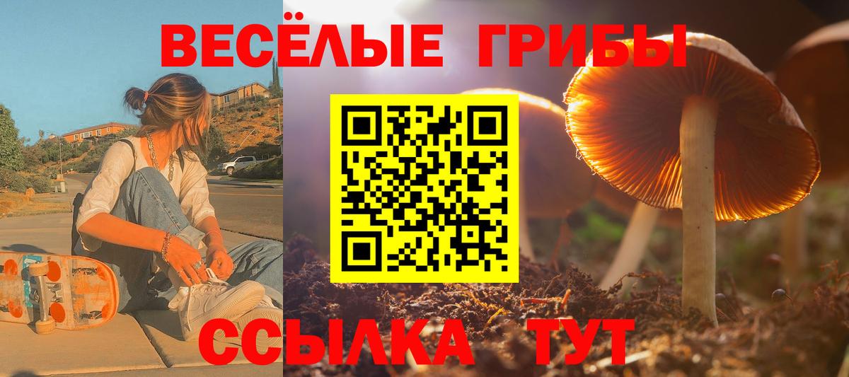 Галлюциногенные грибы Psilocybine cubensis Рязань