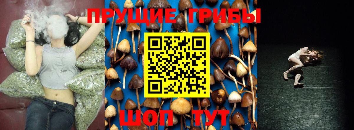 Рязань  Галлюциногенные грибы Psilocybe  Псилоцибиновые грибы прущие грибы  Вход с VPN 